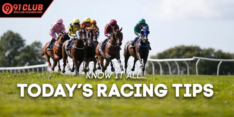 Interpreting race statistics behind Delhi race tips and odds