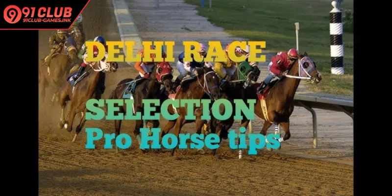 Delhi Race Tips And Odds Today Reveal Huge Payout Potential